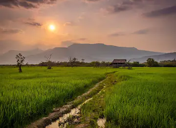 Rice Field Trail