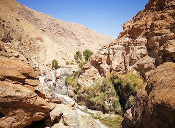 jordan/dana/attraction/afra-mineral-hot-springs-spa