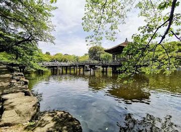 japan/kyoto/attraction/sagi-pond