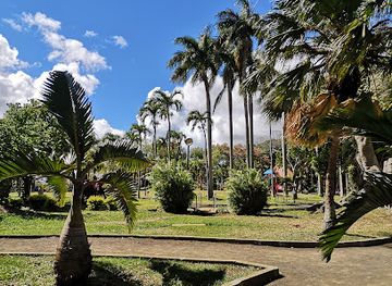 mauritius/plaines-wilhems/attraction/balfour-garden