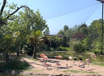 united-kingdom/chester/attraction/tropical-realm