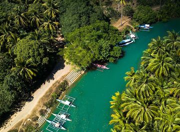 philippines/palawan/attraction/dewil-evo-mangrove-tour