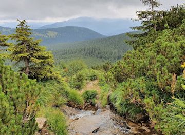 ukraine/hoverla-mountain/attraction/hoverlyanske-falls