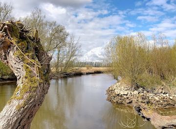 netherlands/rijnmond/attraction/rhoonse-grienden