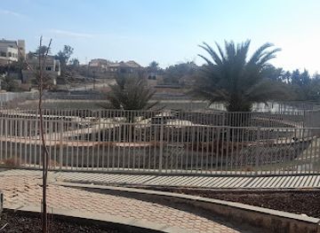 jordan/azraq-wetland-reserve/attraction/wahat-alazraq-almaiyah