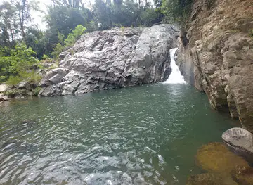 Poza del gallo