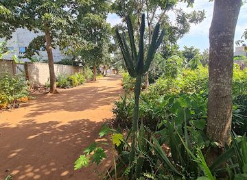 benin/ganvie-village/attraction/eden-park