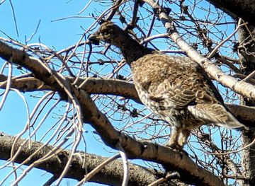 wyoming/snowy-range/attraction/savage-run-wilderness