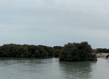 qatar/al-wakra-beach/attraction/shaat-al-wakra