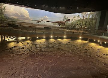 connecticut/windham-county/attraction/dinosaur-state-park