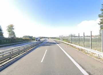 germany/lake-constance/attraction/fledermausbrucke