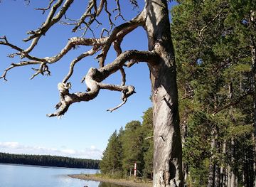 sweden/ostersund/attraction/bynasets-leisure-area