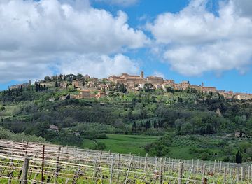 italy/montepulciano/attraction/manvi