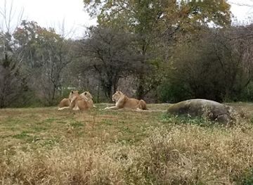 missouri/independence/attraction/kansas-city-zoo-aquarium