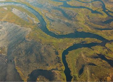 zambia/bangweulu-wetlands/attraction/bangweulu-swamps