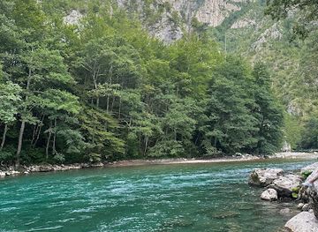 montenegro/tara-river-valley/attraction/riviere-tara