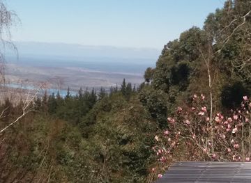 south-africa/amatola-mountains/attraction/starways-arts-centre