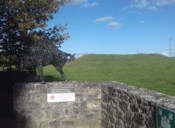 ireland/county-roscommon/attraction/tulsk-fort