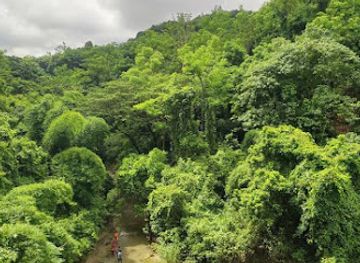 bangladesh/chittagong-division/attraction/sitakunda-eco-park-botanical-garden