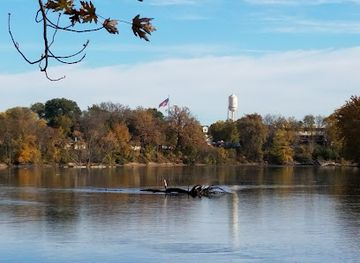 minnesota/mississippi-river/attraction/mississippi-river-islands-scientific-and-natural-area-sna