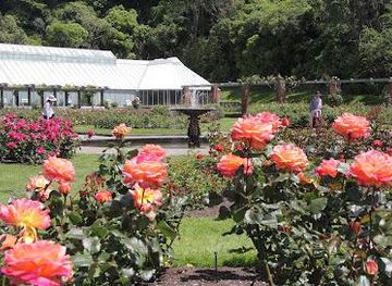 new-zealand/wellington/attraction/lady-norwood-rose-garden