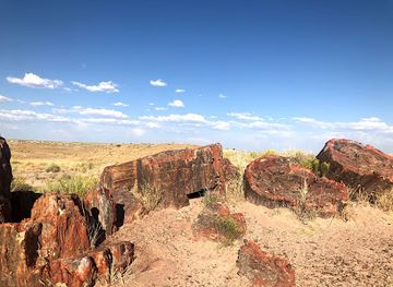 arizona/petrified-forest-national-park/attraction/jasper-forest