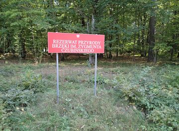 poland/bory-tucholskie/attraction/rezerwat-przyrody-brzeki-im-zygmunta-czubinskiego