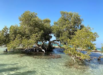 egypt/red-sea-coast/attraction/qulaan-mangrove-beach