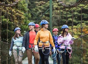 costa-rica/monteverde/attraction/treetopia-park