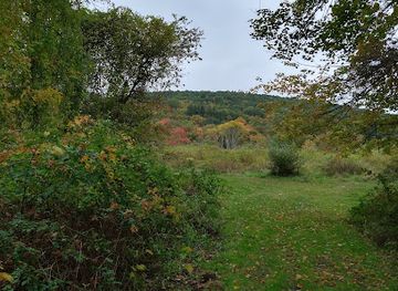 connecticut/naugatuck-valley/attraction/gunntown-passive-park-and-nature-preserve