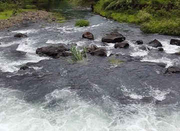 fiji/denarau-island/attraction/source-of-sigatoka-river