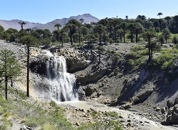 argentina/western-argentina/attraction/agrio-waterfall