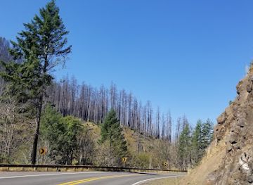 oregon/crook-county/attraction/ochoco-national-forest