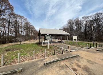 mississippi/the-river-region/attraction/greenville-cypress-preserve-trust