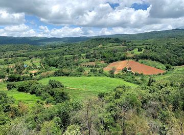 thailand/northeastern-thailand-isan/attraction/phu-ruea