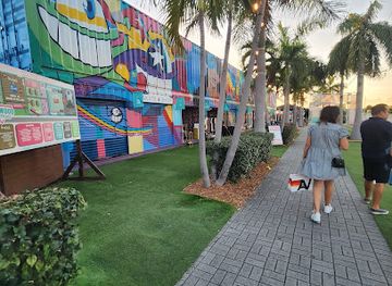 florida/miami/wynwood/attraction/wynwood-street-art-walking-tour