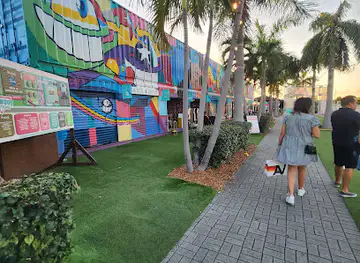 Wynwood Street Art Walking Tour