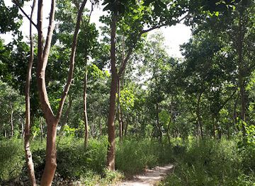 the-gambia/bijilo-forest-park/attraction/salagi-forest-park