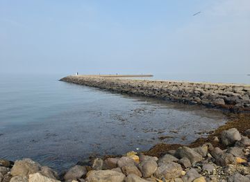 saudi-arabia/farasan-islands/attraction/mamar dakhl albahar