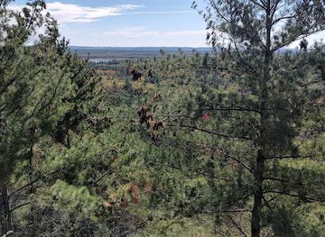 wisconsin/black-river-basin/attraction/castle-mound-lookout