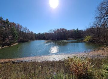 indiana/the-ohio-river-valley/attraction/salamonie-river-state-forest