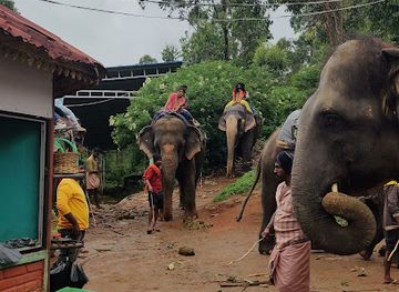 india/munnar/attraction/tourism-village