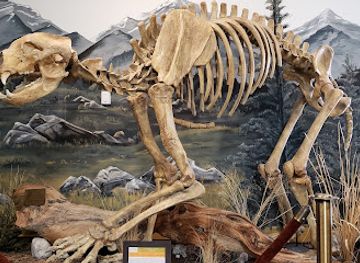 nevada/white-pine-county/attraction/white-pine-public-museum