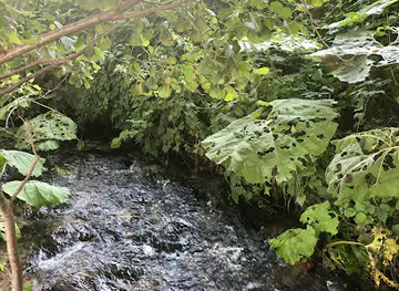 Top of the river