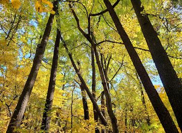 indiana/the-dunes/attraction/memorial-park-krueger