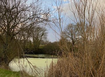 france/angers/attraction/la-phflacke