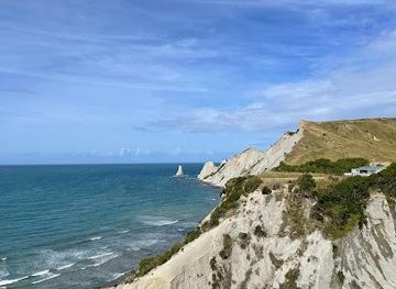 new-zealand/napier/attraction/cape-kidnappers