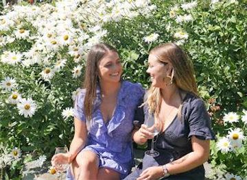 new-zealand/queenstown/attraction/queenstown-winery-tours