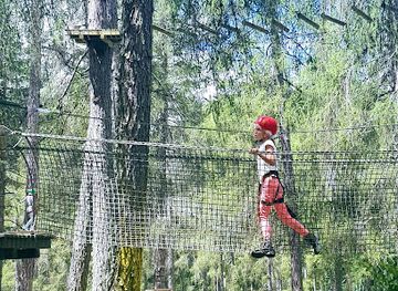 italy/val-di-non/attraction/adventure-dolomiti-parco-avventura-molina-di-fiemme