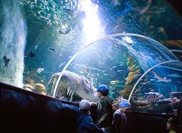 finland/helsinki/attraction/sea-life-helsinki